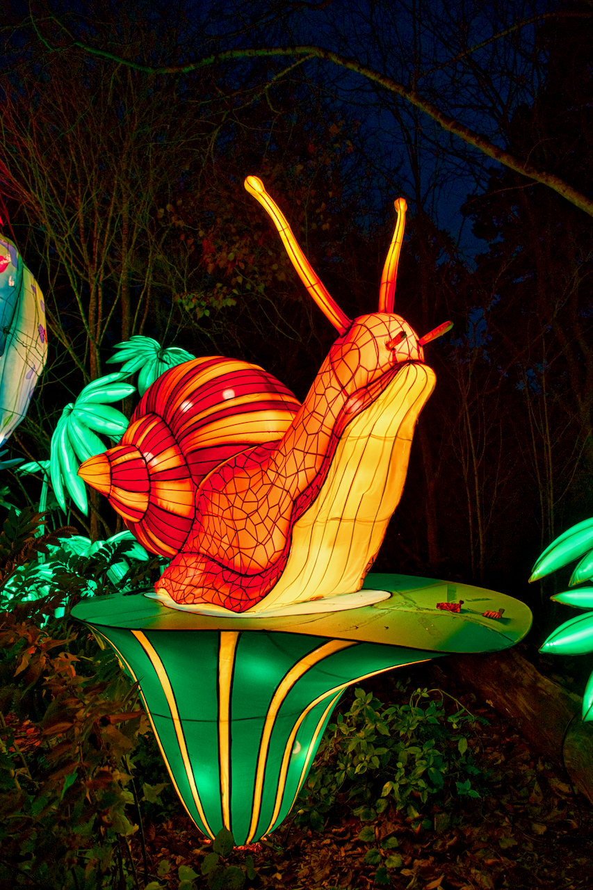 Wild Lanterns at Woodland Park Zoo is a glowing triumph Westside Seattle